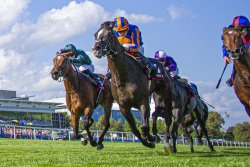 Japan Cup takes center stage in weekend horse racing