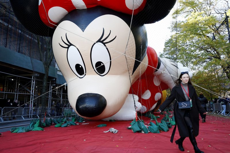 Disney's Minnie Mouse balloon is held in position after being inflated on the eve of the 98th Macy's Thanksgiving Day Parade in New York City on Wednesday. The parade started in 1924, tying it for the second-oldest Thanksgiving parade in the United States with America's Thanksgiving Parade in Detroit. Photo by John Angelillo/UPI