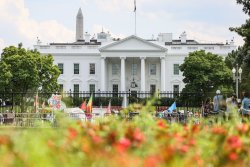 The Trump paradox: Maximum disruption brings maximum chaos